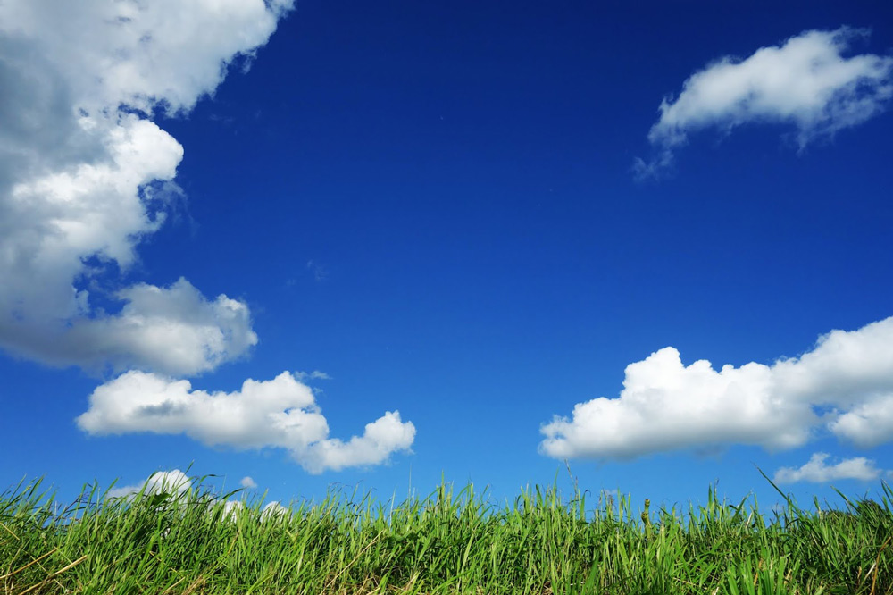 Clouds in the sky with green grass.