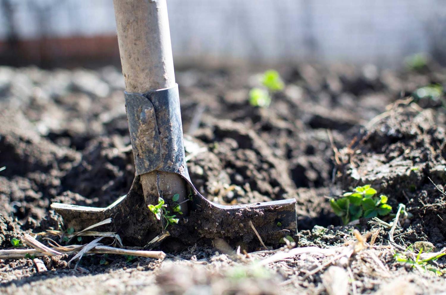 Close up of a shovel digging in a patch of dirt.