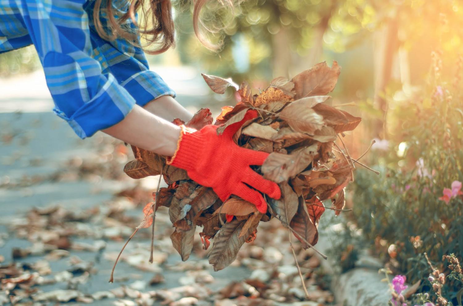 Woman holding a pile of brown leaves.