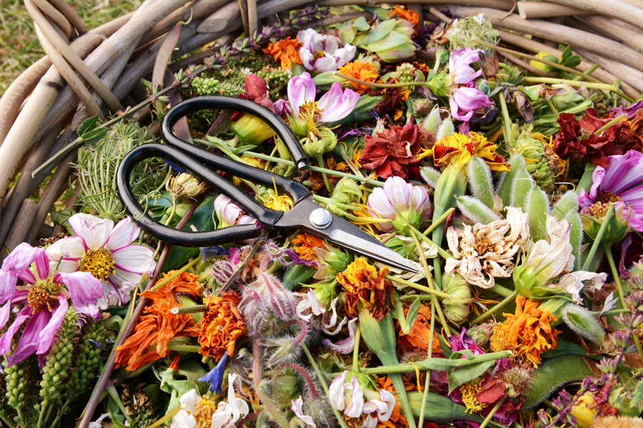 Flowers and scissors inside of a woven basket