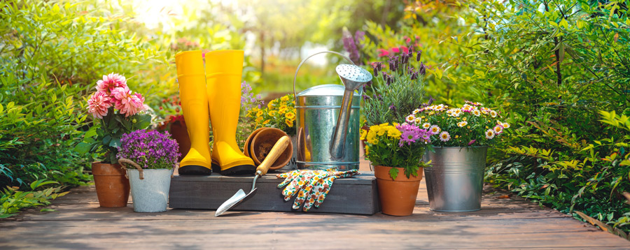 Various gardening tools and plants laid out on a wooden path with green bushes surrounding it.