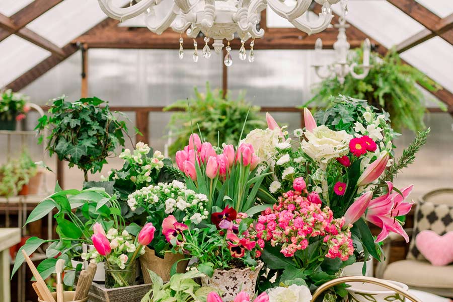 Close-up of a table filled with blooming flowers inside of a Yoderbilt greenhouse