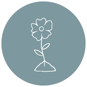 Flower icon in a blue circle