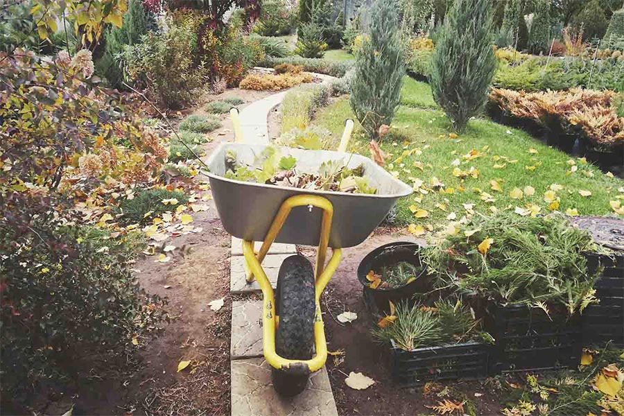 Wheel barrel filled with leaves on a stone path in a backyard.