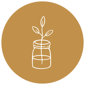 Plant in a jar icon in a brown circle