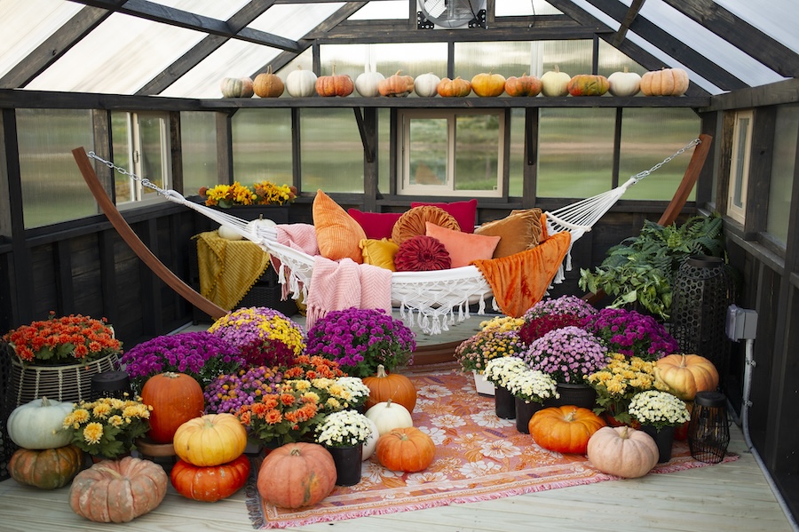 Inside of Yoderbilt Greenhouse with brown stain decorated for fall with a hammock, pumpkins and fall flowers.