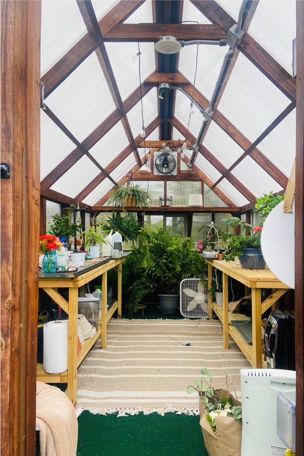 Interior view of a Yoderbilt Greenhouse with brown stain Inside are wooden benches and various plants.