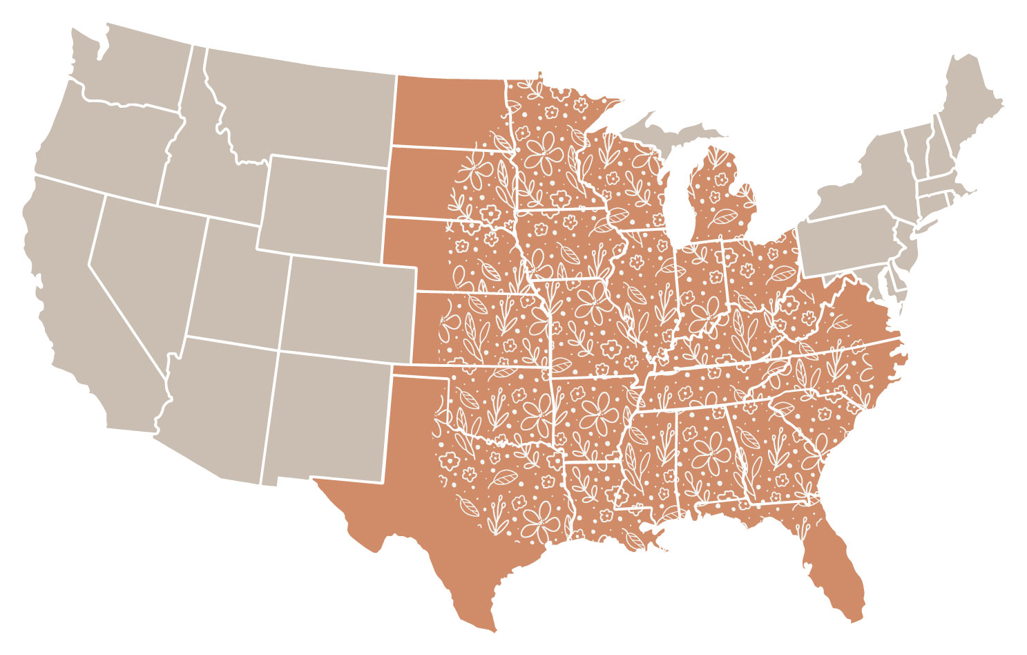 Map with several states colored in orange with a flower and leaf pattern drawing on top.