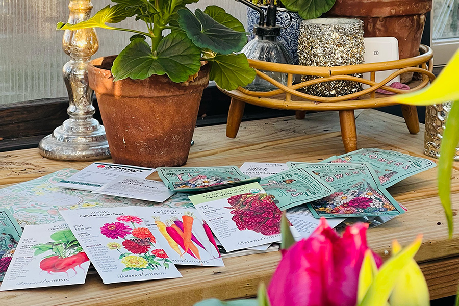Variety of seed packets on a wooden table