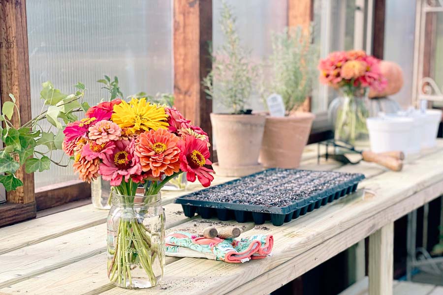 Zinnias in a vase of water next two gardening gloves and seeds trays on top of a gardening table inside of a Yoderbilt Greenhouse