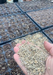 A hand holding vermiculite