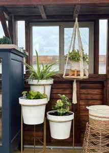 Plants in a stand and a hanging planter in a Yoderbilt Greenhouse