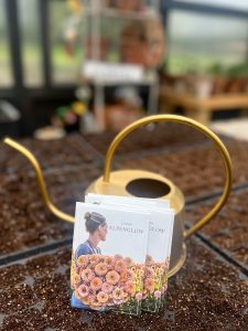 Floret seed packets in front of a gold watering can both sitting on top of filled seed trays