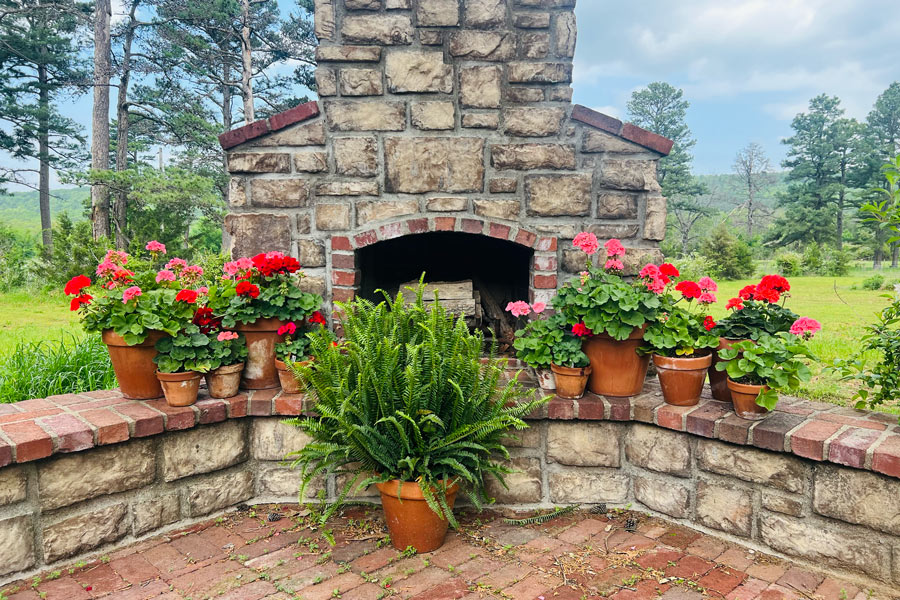 Image of potted plants sitting in front of a fireplace outside