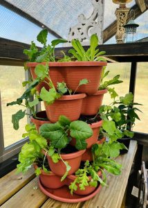 Stacked plants on top of a gardening table inside of a Yoderbilt Greenhouse