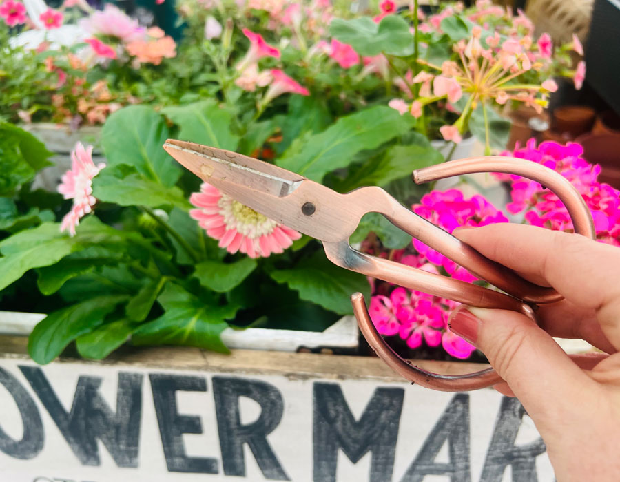 Woman holding gardening scissors