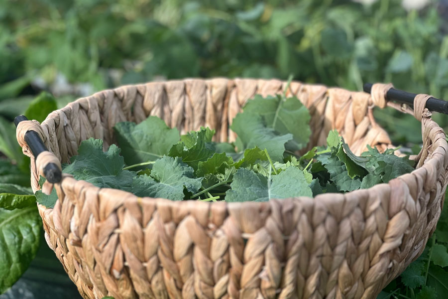 A woven basket filled with greens