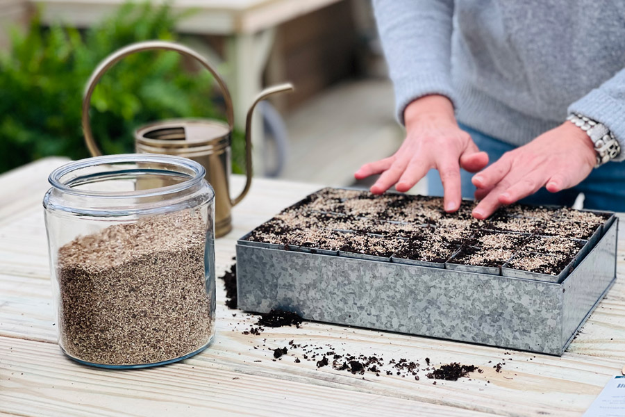 Angela Yoder pressing seeds into seed trays inside of a Yoderbilt greenhouse.