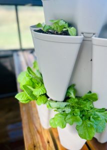 Vertical pot with vegetables growing