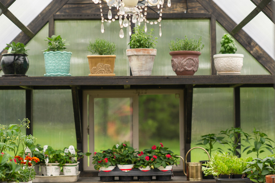 Shelving inside of a 8x12 Yoderbilt Legacy Greenhouse.