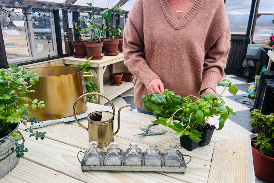 Angela Yoder inside of a Yoderbilt Greenhouse planting herbs.