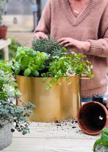 Angela Yoder planting herbs inside of a Yoderbilt Greenhouse.