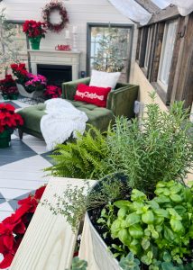 Christmas decorations inside of a Yoderbilt Greenhouse