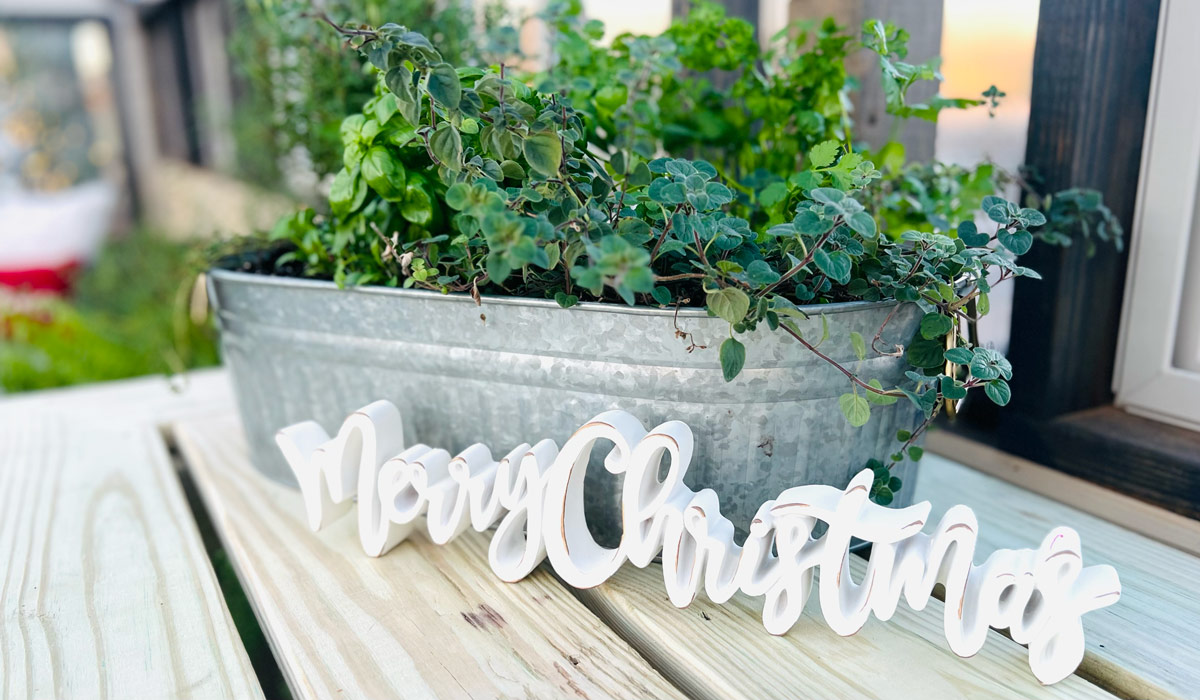 A decorative sign that says "Merry Christmas," placed in front of a steel container of herbs in a Yoderbilt Greenhouse.