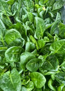 Close up of bright green spinach