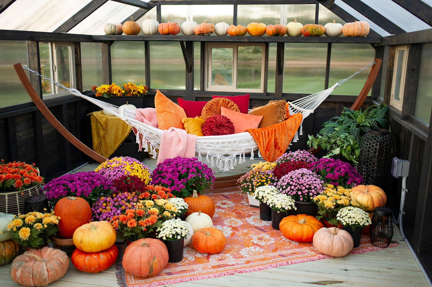 Interior of a Yoderbilt Greenhouse decorated for fall. It is filled with pumpkins, gourds, mums, and a hammock with pillows.