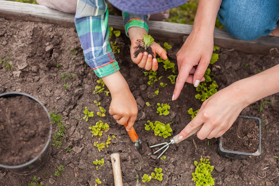 A small child and an adult do garden work outside.