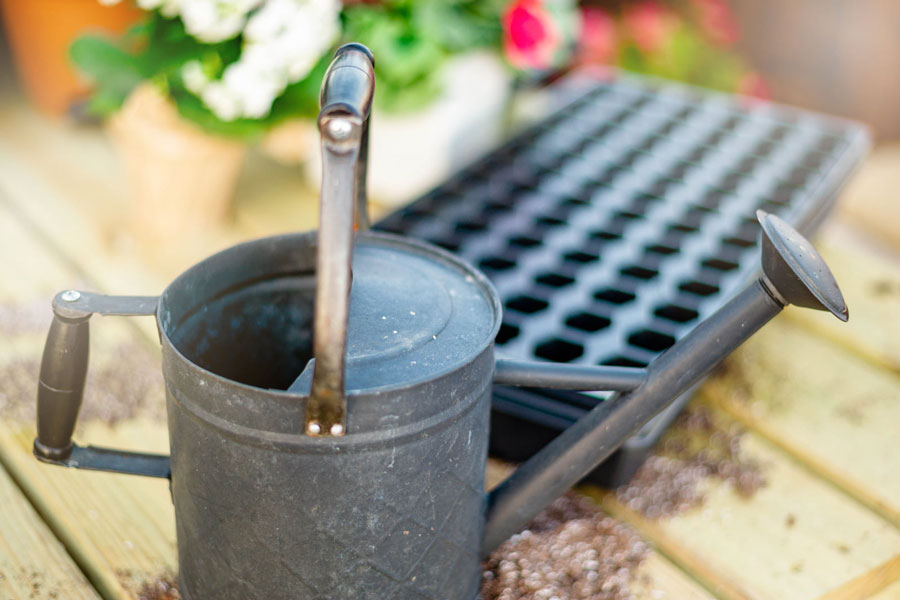 A watering can and seed tray sitting on top of a gardening table