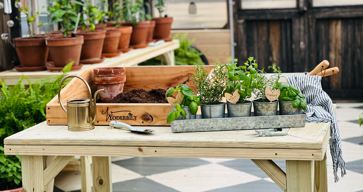 Herbs and a gardening container on top of a gardening table