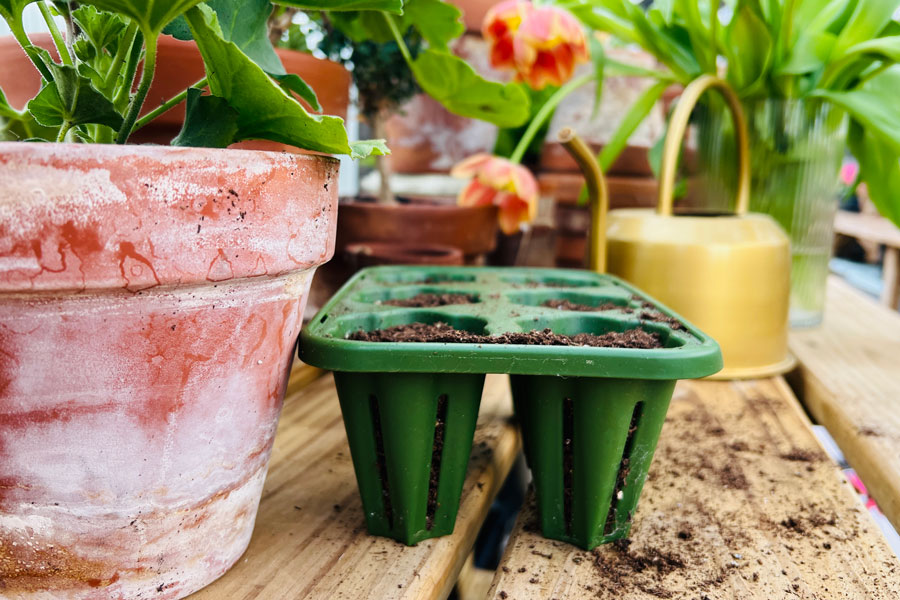 A green seed tray and a terracotta pot on top of a Yoderbilt Greenhouse