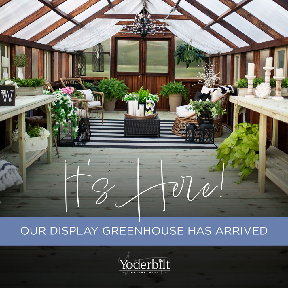 Greenhouse interior with text over it reading "It's Here! Our display greenhouse has arrived."
