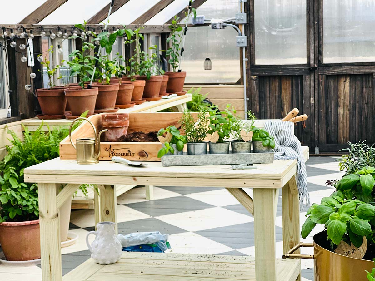 Yoderbilt_Herbs